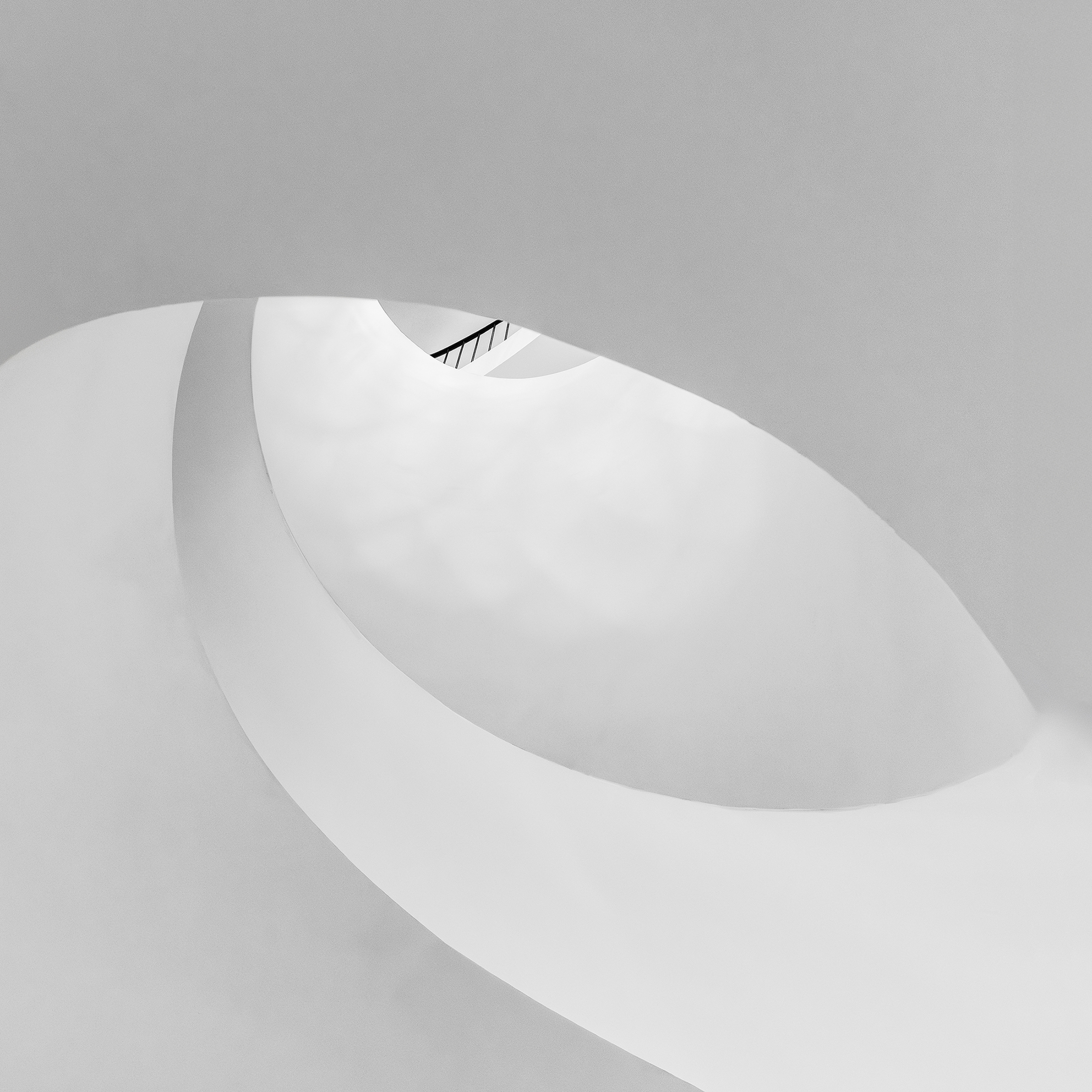 Black Rail — a fine art study of sweeping architectural line and negative space