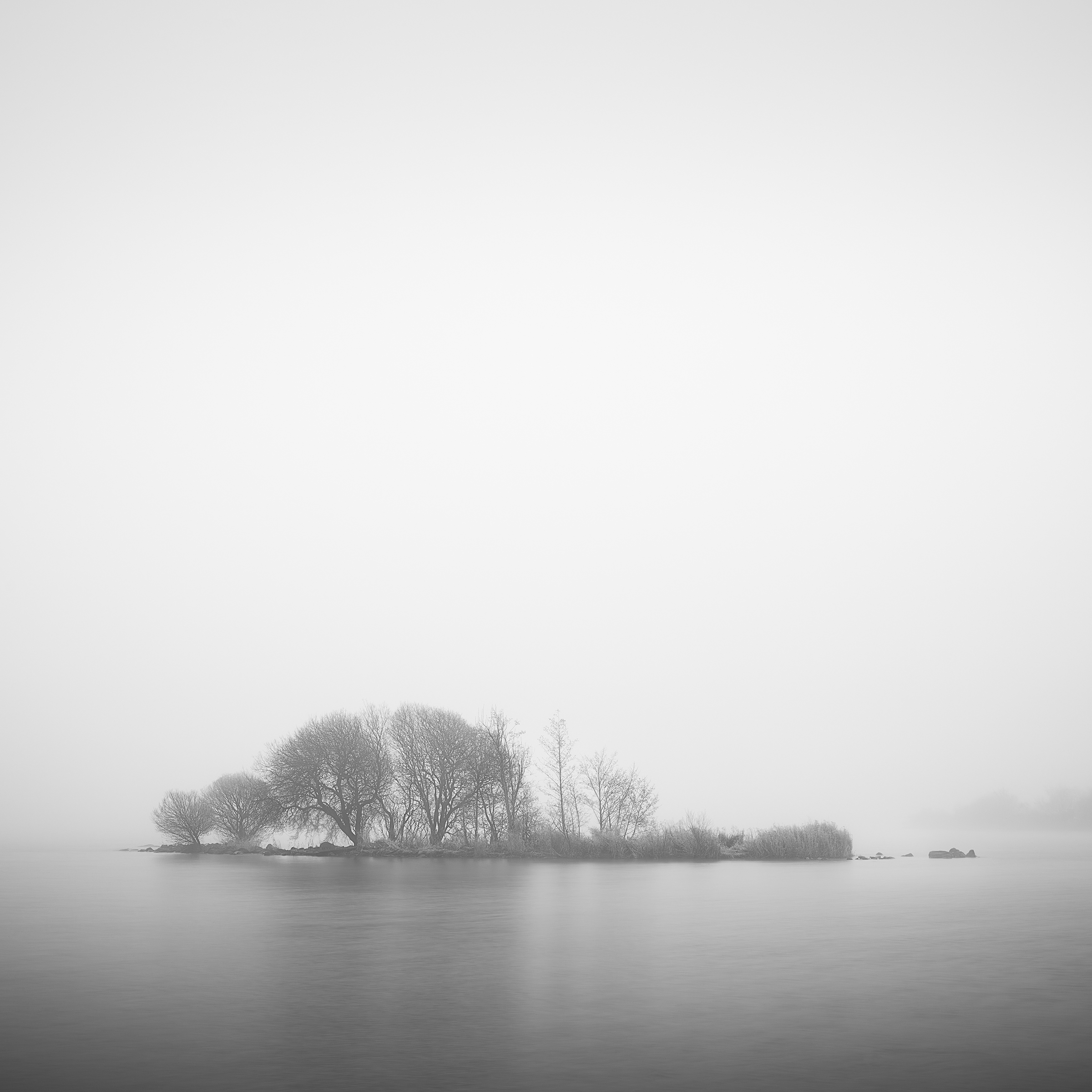 Island in the Mist — a small island of trees emerging through fog and still water