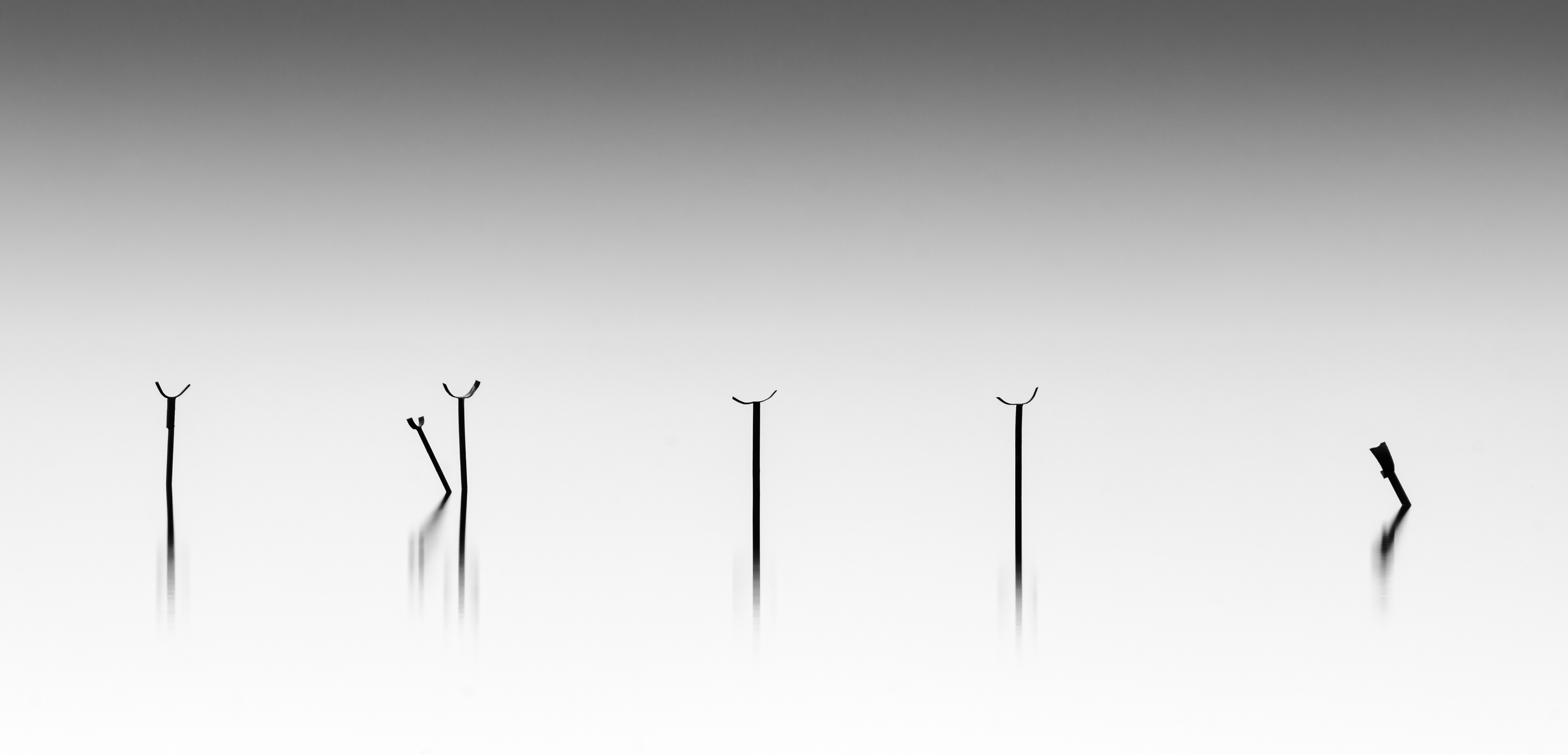 S(t)ix — minimalist long-exposure study of isolated posts in calm water